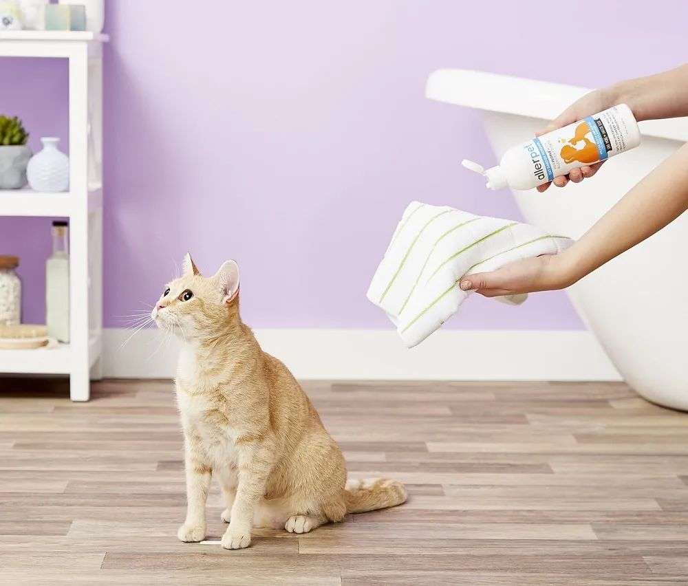 國內(nèi)外巨頭相繼入局,寵物洗護(hù)品成為新的掘金賽道? 國內(nèi)外巨頭相繼入局,寵物洗護(hù)品成為新的掘金賽道?